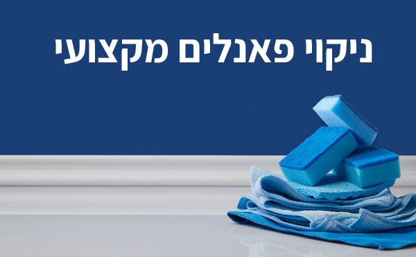 ניקוי פאנלים